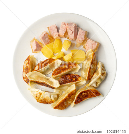 Gyoza Chinese Dumplings, Fried Vegetable Jiaozi with Boiled Potatoes and Canned Meat 102854433