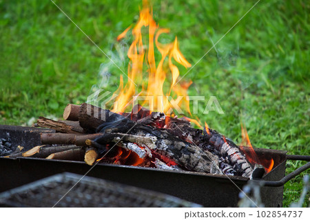 Fire on burning wood in barbecue grill on green grass. Rest, weekend, cook 102854737
