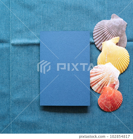 Blank memo paper with summer marine seashell on blue fabric background. top view, copy space 102854817