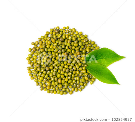 Dry Raw Mung Beans, Vigna Radiata Seeds, Green Gram, Maash or Moong 102854957