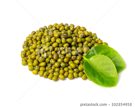 Dry Raw Mung Beans, Vigna Radiata Seeds, Green Gram, Maash or Moong 102854958