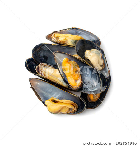 Mussels Pile Isolated, Unshelled Clams, Peeled Mussels, Open Shellfish, Seafood on White Background Mussels Pile Isolated, Unshelled Clams, Peeled Mussels, Open Shellfish, Seafood on White Background 102854980