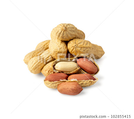 Peanuts Isolated, Roasted Arachis Nuts, Open Pea Nut, Whole Groundnut with Shell, Peanut on White Peanuts Isolated, Roasted Arachis Nuts, Open Pea Nut, Whole Groundnut with Shell, Peanut on White 102855415