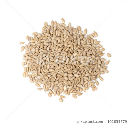 Peeled Sunflower Seeds Isolated, Raw Sunflower Kernels Group, Sun Flower Grains, Peeled Sunflower Seeds Peeled Sunflower Seeds Isolated, Raw Sunflower Kernels Group, Sun Flower Grains, Peeled Sunflower Seeds 102855779