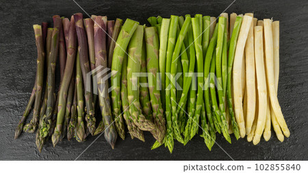 Raw Garden Asparagus, Fresh Green Spring Vegetables, Asparagus Officinalis Edible Sprouts Raw Garden Asparagus, Fresh Green Spring Vegetables, Asparagus Officinalis Edible Sprouts 102855840