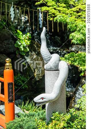 White Snake at Hebikubo Shrine White Snake at Hebikubo Shrine 102855888