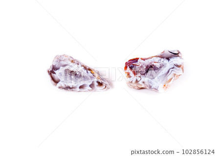 Macro mineral stone agate bud on white background Macro mineral stone agate bud on white background 102856124