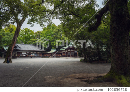 名古屋熱田神社的院內風景 102856718