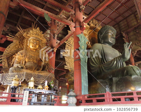 露夏那大佛與國藏菩薩 102856739