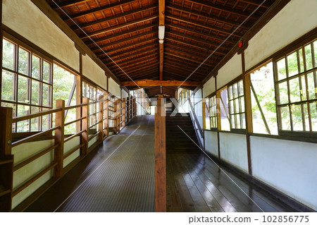 Soto宗Omotoyama Sojiji Hyakuma走廊-橫濱市鶴見區- Soto宗Omotoyama Sojiji Hyakuma走廊-橫濱市鶴見區- 102856775