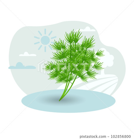 Dill illustration. Green, branch, leaf, plant. Editable vector graphic design. 102856800