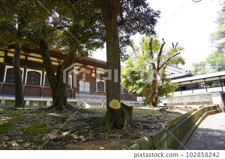 Sojiji Sojiji Sojiji Temple-Tsurumi Ward, Yokohama City- 102858242
