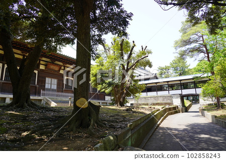 Sojiji Sojiji Sojiji Temple-Tsurumi Ward, Yokohama City- Sojiji Sojiji Sojiji Temple-Tsurumi Ward, Yokohama City- 102858243