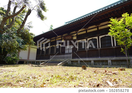 Sojiji Sojiji Sojiji Temple-Tsurumi Ward, Yokohama City- Sojiji Sojiji Sojiji Temple-Tsurumi Ward, Yokohama City- 102858278