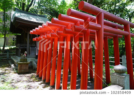 Sojiji Sojiji Sojiji Anaguma Inari-Tsurumi-ku, Yokohama- 102858409
