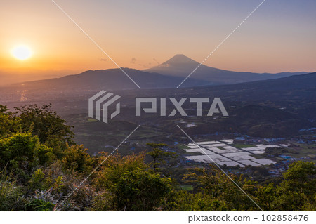 （靜岡縣）丹那盆地的箱根西六稻田和富士山的夜景 102858476