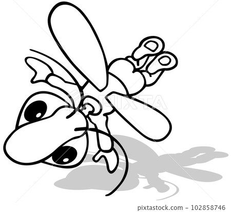 Drawing of a Flying Beetle from Top View 102858746