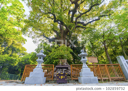 大鳥大社 Neagari Okusu（大阪府堺市西區大鳥北町） 102859732