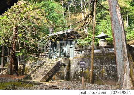 World Heritage Nikko Toshogu Okusha Karamon Gate Nikko City, Tochigi Prefecture World Heritage Nikko Toshogu Okusha Karamon Gate Nikko City, Tochigi Prefecture 102859835
