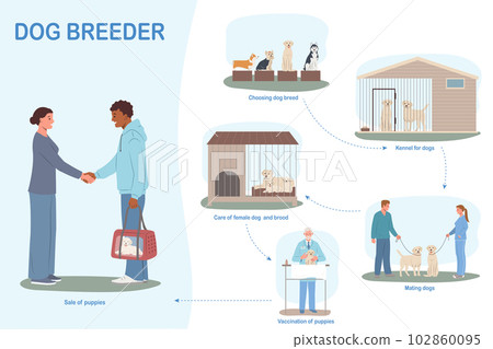 Dog Breeder Flat Infographics 102860095