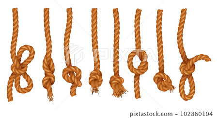 Ropes With Knot Realistic Set 102860104