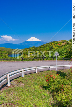 (Shizuoka Prefecture) Snow-covered Mt. Fuji viewed from the Izu Skyline with blooming azaleas 102860229