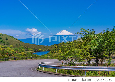 （靜岡縣）從杜鵑花盛開的伊豆天際線眺望白雪皚皚的富士山 102860230