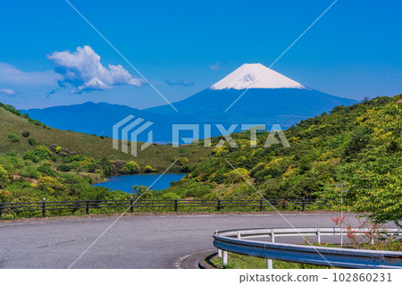 （靜岡縣）從杜鵑花盛開的伊豆天際線眺望白雪皚皚的富士山 102860231