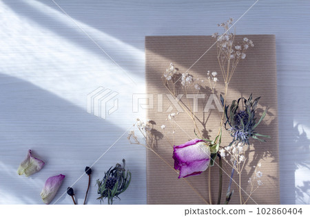 書籍和乾花，如玫瑰，放在昏暗藍色空間的木桌上 102860404