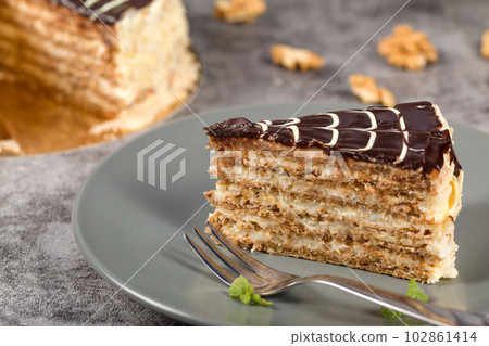 Esterhazy cake. Cake decoration. Chocolate glaze. Frosting decoration Esterhazy cake. Cake decoration. Chocolate glaze. Frosting decoration 102861414