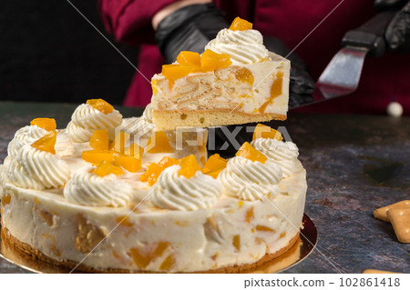 Fresh Peach Cake on a Gray Background. Healthy Summer Dessert Concept Fresh Peach Cake on a Gray Background. Healthy Summer Dessert Concept 102861418