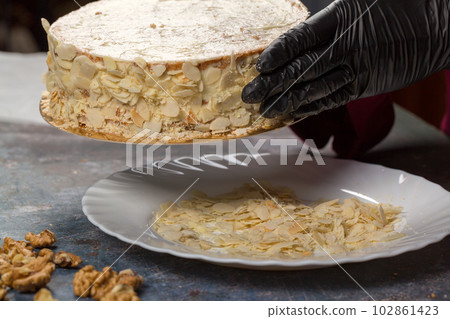 Esterhazy cake. Cake Decoration. Creamy Mousse. Almond Flakes Esterhazy cake. Cake Decoration. Creamy Mousse. Almond Flakes 102861423