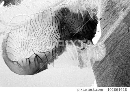 black white abstract acrylic painting color texture on white paper background by using rorschach inkblot method 102861618