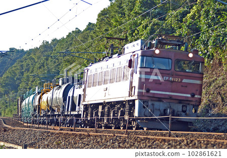 北陸本線椿本栗良JR貨運EF81-124（富山） 102861621