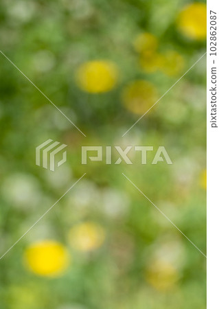 蒲公英的模糊背景圖像 102862087