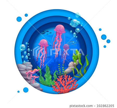 Sea paper cut landscape with tropical jellyfish and seaweeds. 3d vector round layered frame with colorful marine life, algae plants, rocks and bubbles create mesmerizing effect with contrasting colors Sea paper cut landscape with tropical jellyfish and seaweeds. 3d vector round layered frame with colorful marine life, algae plants, rocks and bubbles create mesmerizing effect with contrasting colors 102862205