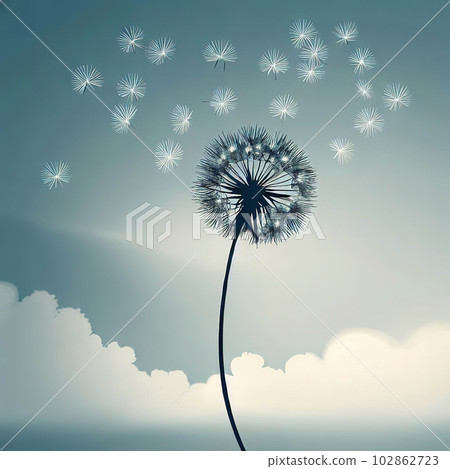 dandelion with flying seeds dandelion with flying seeds 102862723
