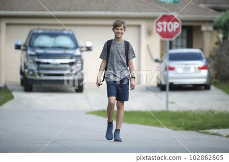 Young handsome smiling teenager boy with backpack happy going to school on sunny day Young handsome smiling teenager boy with backpack happy going to school on sunny day 102862805