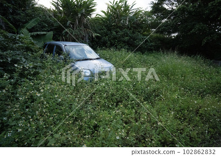 A car abandoned in the field, a car decaying in the grassland, a scrap car, a junk car that has been scrapped for private use A car abandoned in the field, a car decaying in the grassland, a scrap car, a junk car that has been scrapped for private use 102862832