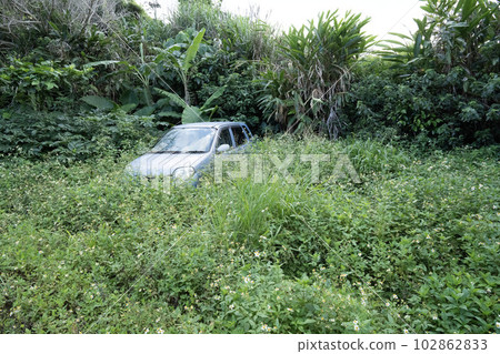 A car abandoned in the field, a car decaying in the grassland, a scrap car, a junk car that has been scrapped for private use A car abandoned in the field, a car decaying in the grassland, a scrap car, a junk car that has been scrapped for private use 102862833