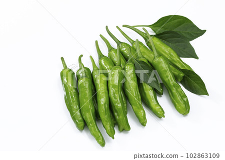 white back pepper white back pepper 102863109