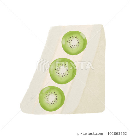 kiwi fruit sandwich, hand drawn illustration kiwi fruit sandwich, hand drawn illustration 102863362