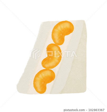 orange fruit sandwich, hand drawn illustration orange fruit sandwich, hand drawn illustration 102863367