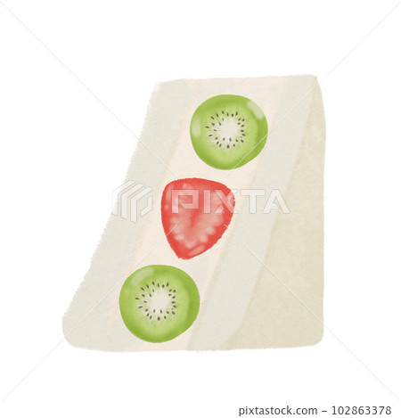 Strawberry kiwi fruit sandwich, hand drawn illustration Strawberry kiwi fruit sandwich, hand drawn illustration 102863378