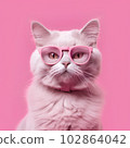 White Cat In Pink 102864042