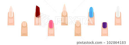 Colorful Female Finger with Nail Form and Shapes Vector Set Colorful Female Finger with Nail Form and Shapes Vector Set 102864183