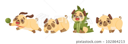 Cute Pug Dog Puppy Engaged in Different Activity Vector Set Cute Pug Dog Puppy Engaged in Different Activity Vector Set 102864213