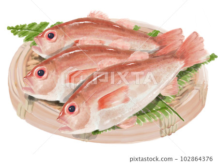 Hand-drawn Nodoguro 01_1 102864376