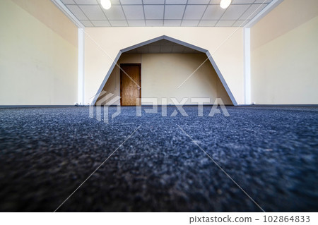 Interior of an empty room with an arch and a door 102864833