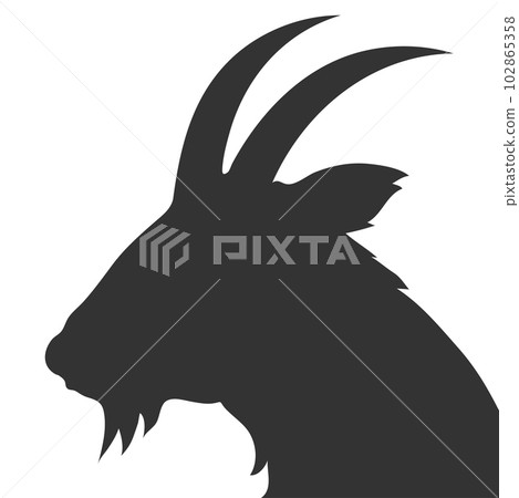 Portrait of a goat head with horns Portrait of a goat head with horns 102865358